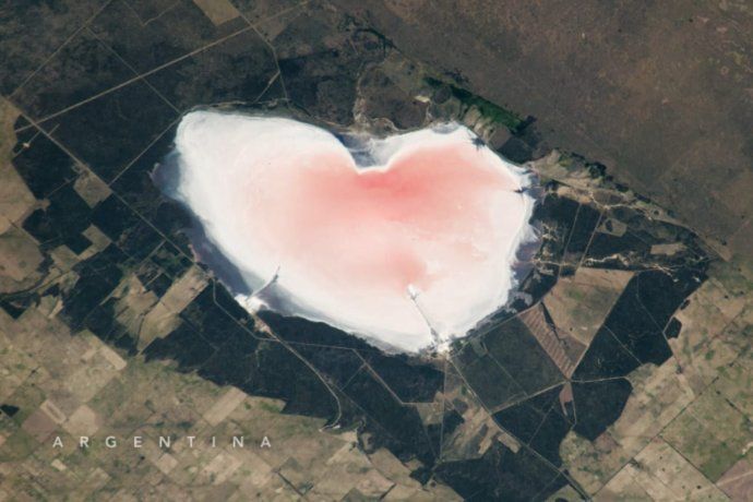 Su llamativa coloración rosa responde a procesos microbiológicos vinculados al alga Dunaliella salina.