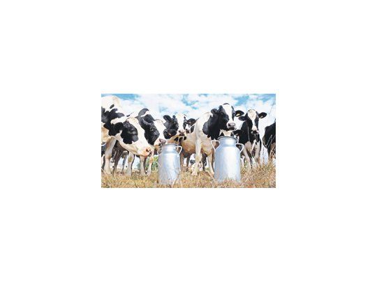 Un sector que busca salir del estancamiento