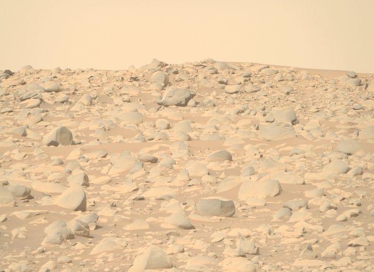La Nasa capturó imágenes inéditas de Marte y alertan por un nuevo hallazgo imagen-4