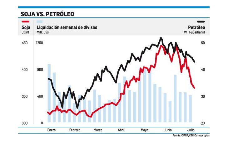La liquidación por soja cayó el 9,4% en una semana