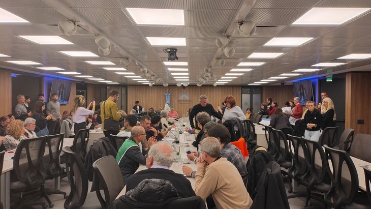Representantes de organismos artísticos se reunieron en la Comisión de Cultura.