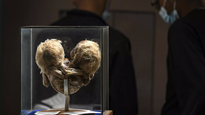 la aterradora exhibicion del museo del ser humano en colombia