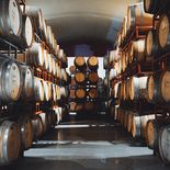 La industria vitivinícola argentina espera que el contexto doméstico e internacional se estabilicen en 2026. La industria vitivinícola argentina espera que el contexto doméstico e internacional se estabilicen en 2026.