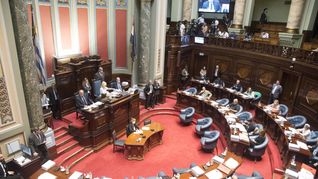 Cruces en el Senado uruguayo por cuestiones referidas a los Consejos de Salarios.
