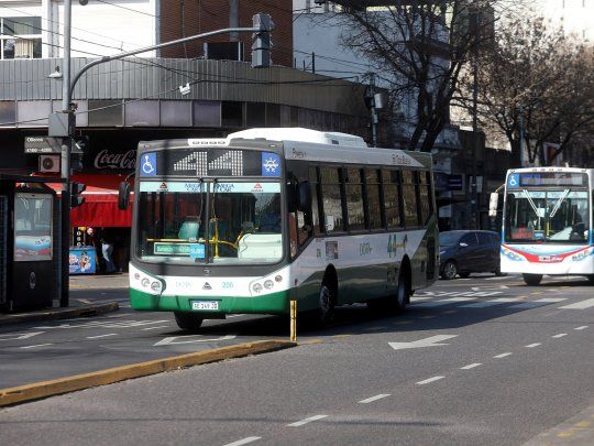 Colectivos Transporte Publico
