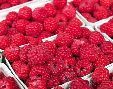 Las frambuesas son especialmente ricas en antioxidantes y vitamina A. Las frambuesas son especialmente ricas en antioxidantes y vitamina A.