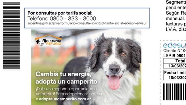 Edesur fue también la primera compañía de servicios de inaugurar una oficina de atención al público pet friendly en 2019.