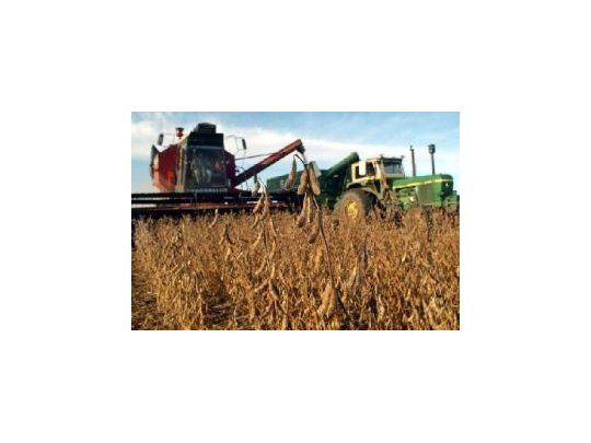 USDA mantiene la estimación de la cosecha de soja argentina