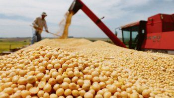 los granos treparon hasta 5,2% en la semana: la soja acaricio los u$s520 por tonelada