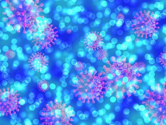 La pandemia, cuyo origen se ha relacionado al pasaje de un virus desde los animales a los seres humanos, se identificó inicialmente en el Mercado de Mariscos de Huanan de Wuhan en diciembre de 2019.