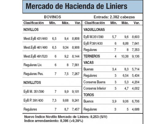 Novillos subieron entre 0,5% y 1,5%