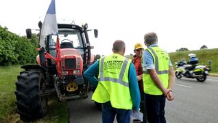 Los agricultores franceses volvieron a manifestarse en contra del Acuerdo Mercosur-UE.