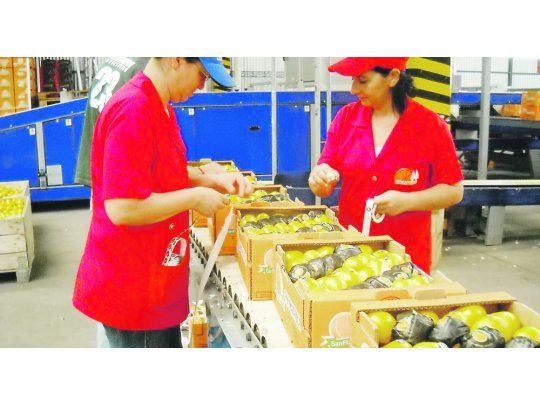 Desde Corrientes una Cooperativa citrícola llega al sur de Asia