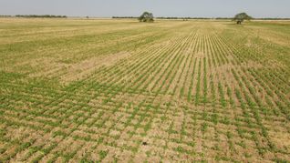 El mercado inmobiliario rural puede recibir una inyección de inversiones el próximo año. El mercado inmobiliario rural puede recibir una inyección de inversiones el próximo año.