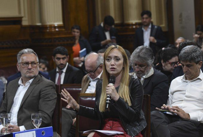 Anabel Fern&aacute;ndez Sagasti durante el debate de la comisi&oacute;n del Senado.
