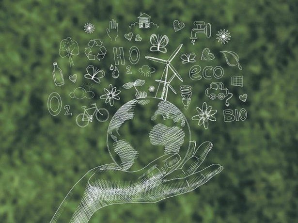 sustentabilidad principal.png