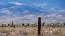 Con un paisaje puramente cinematográfico, este rincón salteño luce como una escenografía de película.