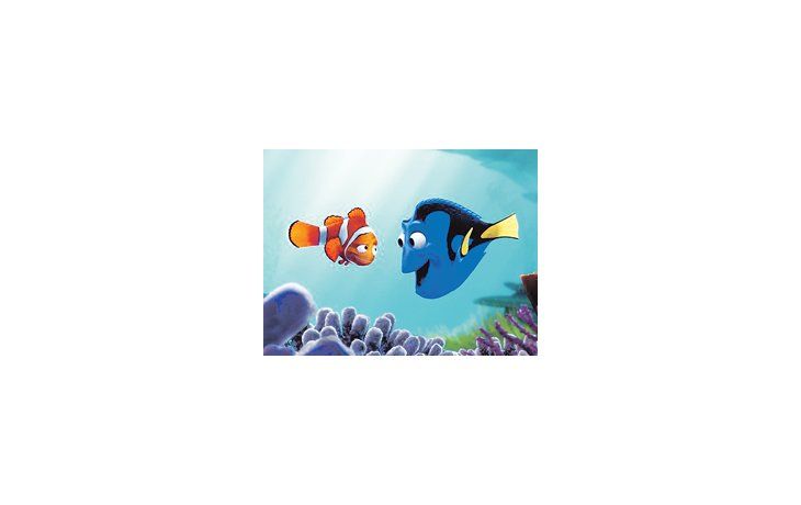 BUSCANDO A NEMO