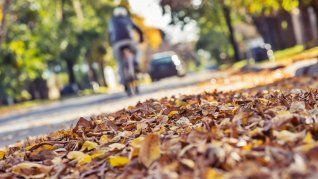 La llegada del otoño, ideal para disfrutar de los feriados.