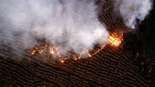 Incendios.
