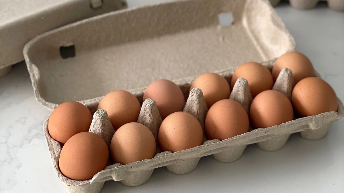 From kitchen to crafts: How to transform egg maples into useful objects?