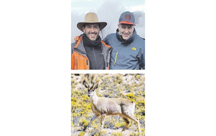 Federico Sturzenegger junto al ministro de Ambiente riojano, Santiago Azulay (arriba), durante el recorrido que realizó para fotografiar a la estilizada taruca (abajo).