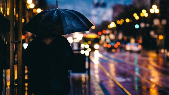 En un paisaje urbano rediseñado para convivir con tormentas más intensas, calles, parques y plazas se transforman en aliados inesperados frente al agua.