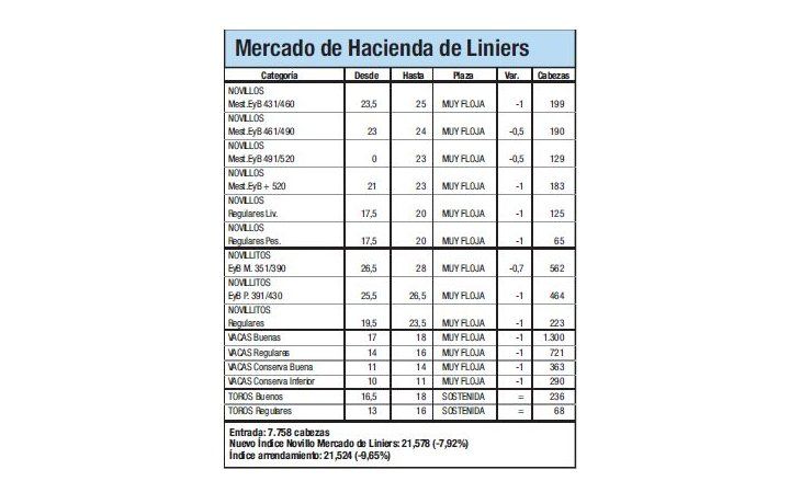 El Índice Novillo cayó un 5%