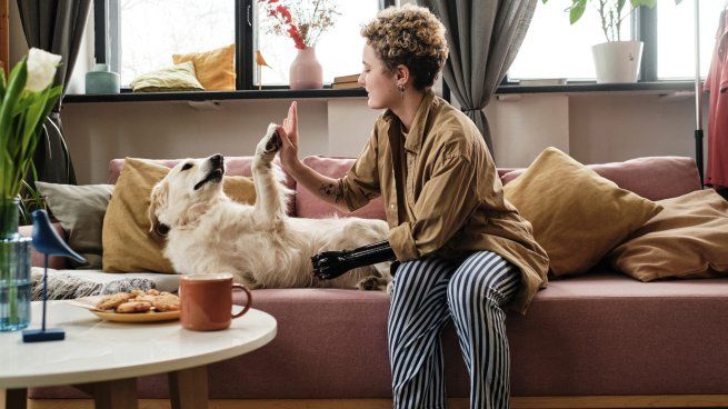 Vómitos, tos persistente o dificultad para moverse son señales claras de que tu mascota podría estar atravesando un cuadro clínico que requiere atención veterinaria.&nbsp;
