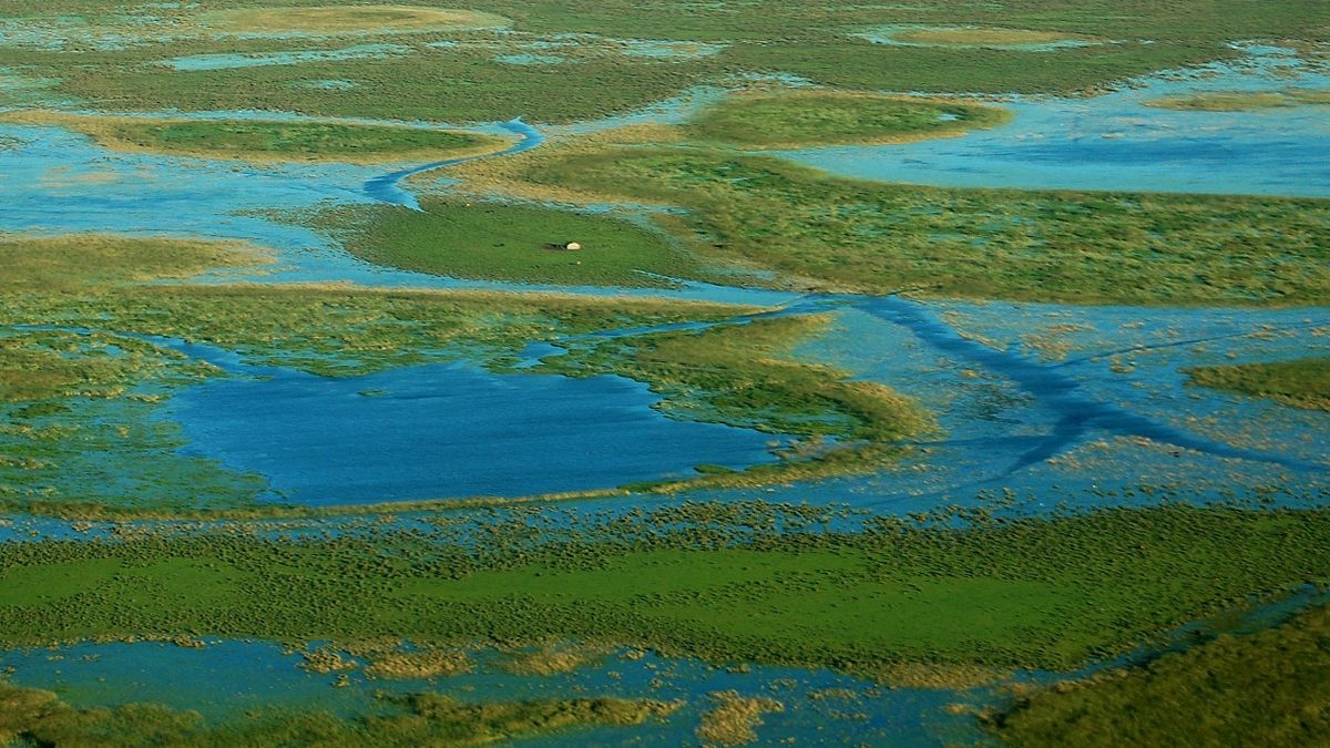 Corrientes awaits the arrival of tourists for Easter with an Iberá in recovery