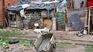 October 17 International Day for the Eradication of Poverty. October 17 International Day for the Eradication of Poverty.