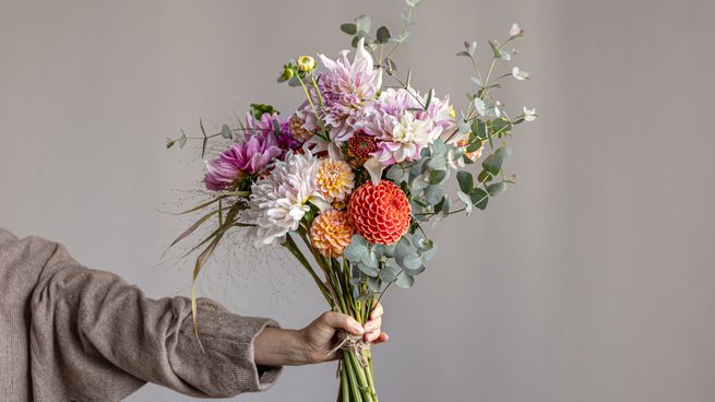 La IA ChatGPT determinó que estas 6 flores representan a la cultura argentina.