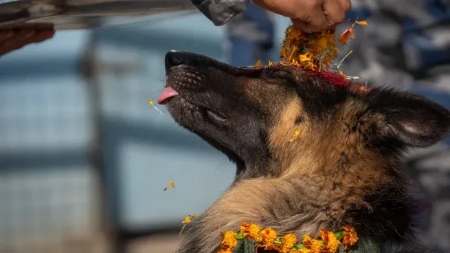 Esta celebración se lleva a cabo durante el festival Kukur Thiar.&nbsp;