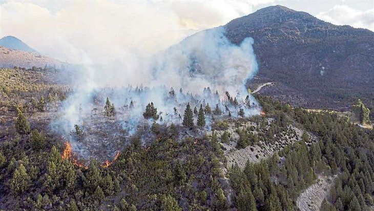 Impresionante Incendio Forestal Arrasa Bosques En El Bolsón