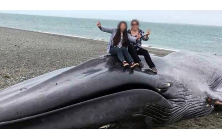 La foto de dos amigas sobre la ballena.