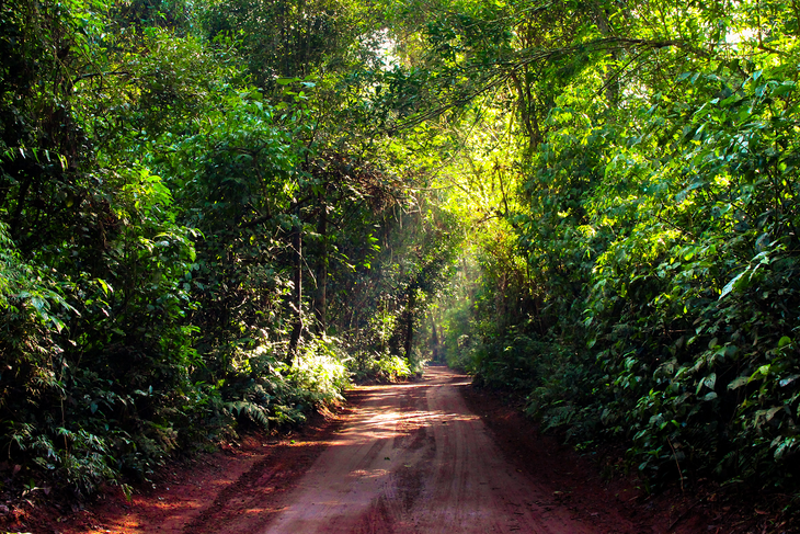 Finde XXL en la selva: vida silvestre, cultura guaraní y más tesoros de  Iryapú