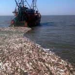 Gentileza Revista Puerto @RevistaPuertotw Gentileza Revista Puerto @RevistaPuertotw