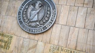 Después de un superávit en 2024, el resultado de la Caja Notarial se deterioró por la caída en inversiones forestales y el crecimiento de los pasivos. Después de un superávit en 2024, el resultado de la Caja Notarial se deterioró por la caída en inversiones forestales y el crecimiento de los pasivos.