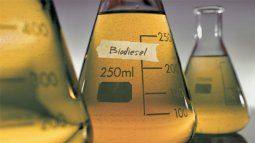 Los productores de biocombustibles alertan que con la caída de la ley ómnibus, reaparecen los fantasmas para cambia las reglas de juego del sector.