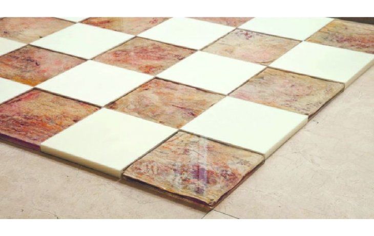 ámbito.com | Serie Neocolonial. Las baldosas de acrílico realizadas con carne vacuna, grasa y resina poliéster esconden un arraigo especial en la violencia, tal como en “El matadero” de Echeverría.