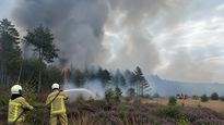Bélgica atraviesa el mayor incendio forestal registrado en su historia, mientras distintos países europeos continúan combatiendo focos activos.