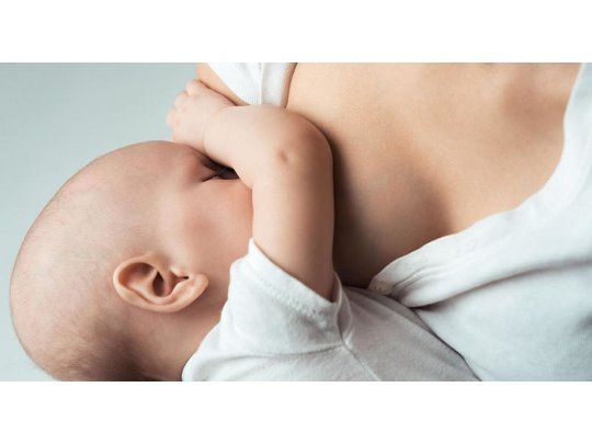 El instinto maternal se puede medir.