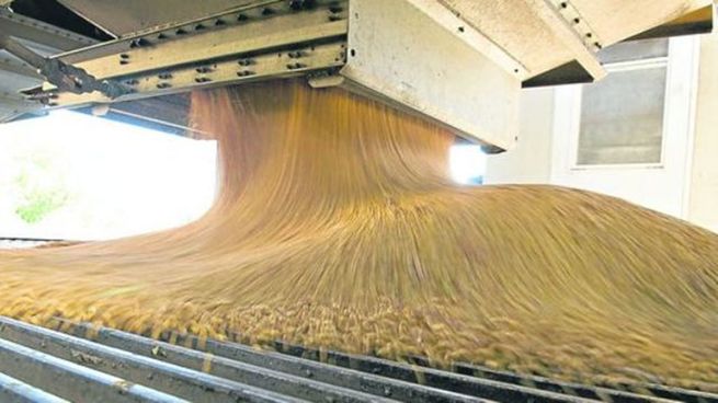 Exportaciones de trigo