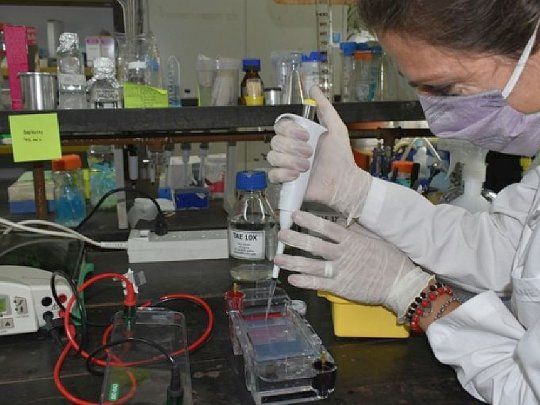 El convenio entre el INTA y Bagó le permite al grupo de investigación de Bariloche contar con fondos para realizar los estudios utilizando la plataforma de nanovacunas.