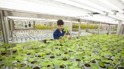Bioceres S.A. es la empresa argentina que dio origen al grupo biotecnológico fundado en Rosario.