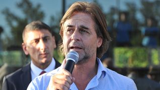 Luis Lacalle Pou apuntó contra Yamandú Orsi por la compra a Cardama. Luis Lacalle Pou apuntó contra Yamandú Orsi por la compra a Cardama.
