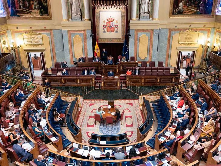 Los disputados españoles dieron media sanción a la Ley de Nietos.