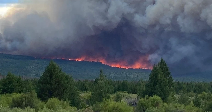 Incendio forestal en Cuesta del Ternero, Río Negro.