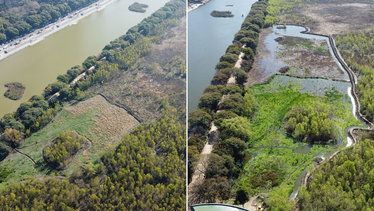 El área comprendida por la reserva ecológica abarca unas 350 hectáreas. El área comprendida por la reserva ecológica abarca unas 350 hectáreas.