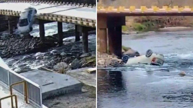 La mujer culpó a su perro tras caer con su auto al río